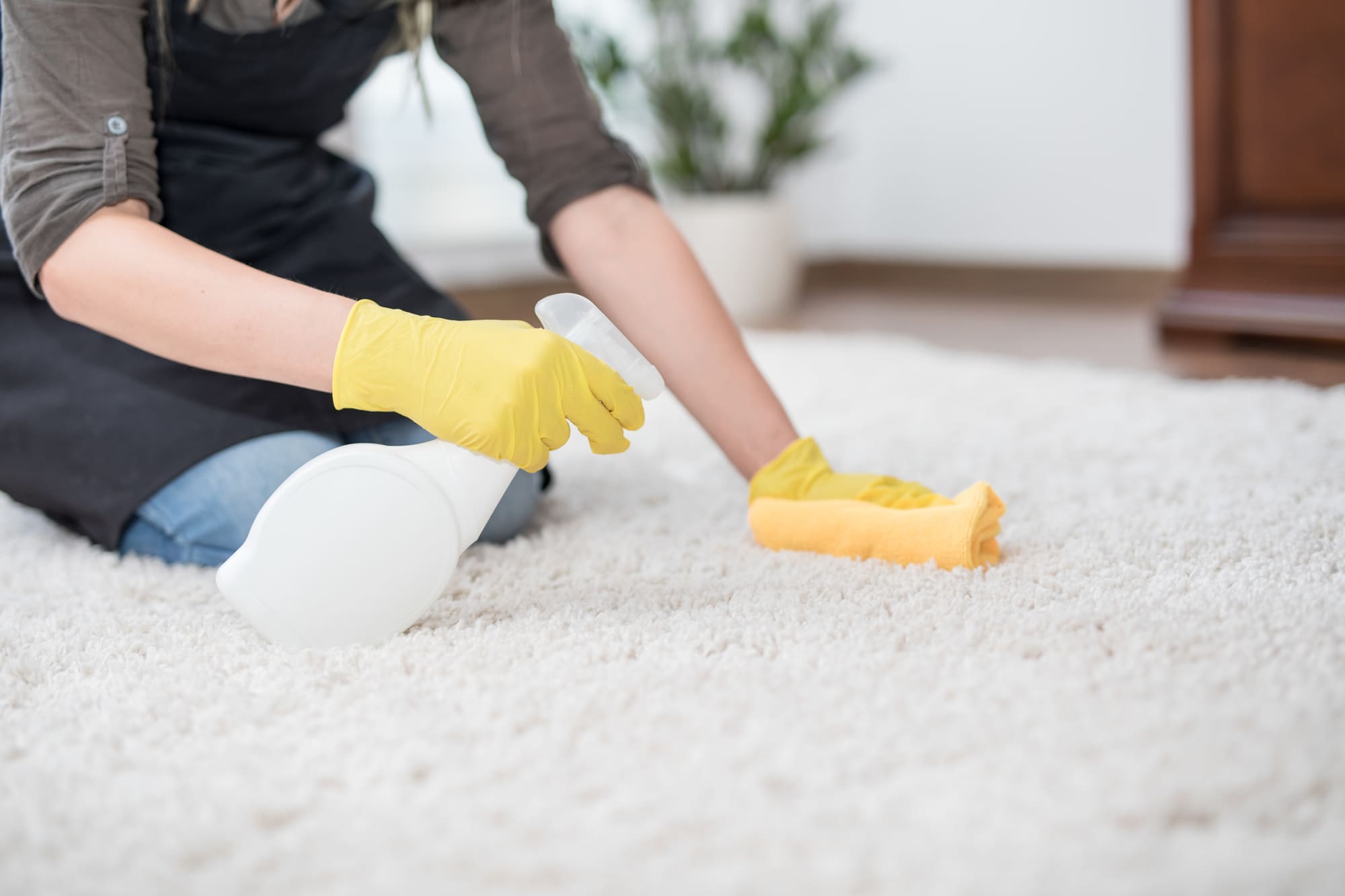 自宅で簡単にできるカーペットのクリーニング方法とは 染み抜きの方法も解説 東京ガスのハウスクリーニング
