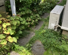 ホコリ除去