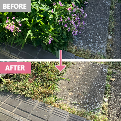 草刈り・草むしりのbefore／after（施工事例1）